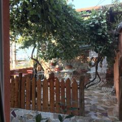 Отель Guest House Zemeli Тбилиси с домашними животными