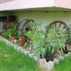 Отель Family Hotel Bordo House Болгария, Аврен - отзывы, цены и фото номеров - забронировать отель Family Hotel Bordo House онлайн