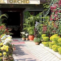Отель Orchid Непал, Покхара - отзывы, цены и фото номеров - забронировать отель Orchid онлайн фото 3