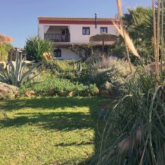 Отель Finca Andalucia Испания, Кониль-де-ла-Фронтера - отзывы, цены и фото номеров - забронировать отель Finca Andalucia онлайн фото 6