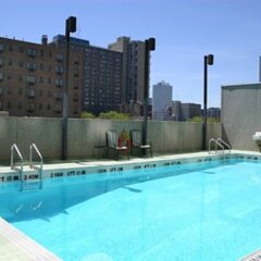 Отель Best Western Primrose Hotel Downtown Канада, Торонто - отзывы, цены и фото номеров - забронировать отель Best Western Primrose Hotel Downtown онлайн с домашними животными