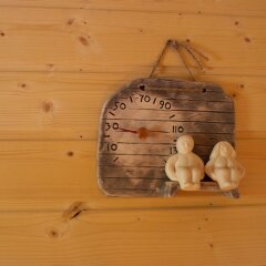 Отель SResort Sauna Villas Финляндия, Лаппеэнранта - отзывы, цены и фото номеров - забронировать отель SResort Sauna Villas онлайн сауна