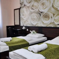 Green Hotel Budapest удобства в номере