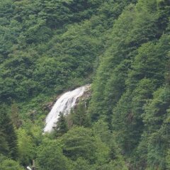 Ayder Resort Hotel Турция, Чамлыхемшин - отзывы, цены и фото номеров - забронировать отель Ayder Resort Hotel онлайн фото 4