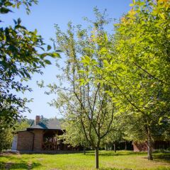 Гостиница Pansionat Bogema фото 14