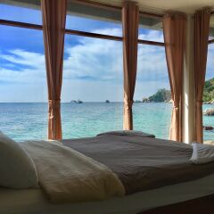 Отель P.D. Beach Resort с домашними животными