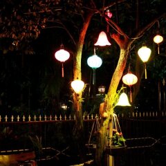 Отель Milk Fruit Homestay Хойан развлечения