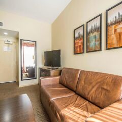 Отель Comfort Inn Downtown Vancouver Канада, Ванкувер - отзывы, цены и фото номеров - забронировать отель Comfort Inn Downtown Vancouver онлайн комната для гостей фото 2