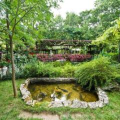 Отель Family Hotel Edia Болгария, Сандански - отзывы, цены и фото номеров - забронировать отель Family Hotel Edia онлайн фото 18
