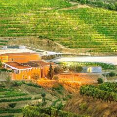 Отель Quinta do Vallado Португалия, Пезу-да-Регуа - отзывы, цены и фото номеров - забронировать отель Quinta do Vallado онлайн фото 4