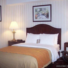 Comfort Inn Shady Grove - Gaithersburg - Rockville in Gaithersburg, United States of America from 124$, photos, reviews - zenhotels.com guestroom photo 3
