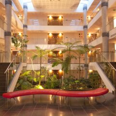 Отель Port Elche Испания, Эльче - отзывы, цены и фото номеров - забронировать отель Port Elche онлайн фото 9
