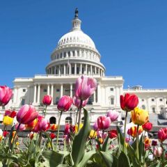 Отель Hampton Inn Washington DC - Convention Center США, Вашингтон - отзывы, цены и фото номеров - забронировать отель Hampton Inn Washington DC - Convention Center онлайн помещение для мероприятий фото 2