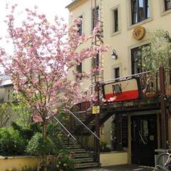 Отель Hostel Louise 20 Германия, Дрезден - отзывы, цены и фото номеров - забронировать отель Hostel Louise 20 онлайн фото 5