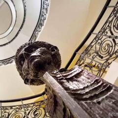 Отель Century Old Town Prague MGallery Collection Чехия, Прага - 5 отзывов об отеле, цены и фото номеров - забронировать отель Century Old Town Prague MGallery Collection онлайн с домашними животными