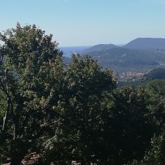 Отель B&B Al Calcandola Сарцана фото 15
