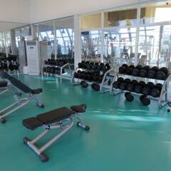 Eser Premium Hotel & SPA фитнесс-зал фото 4