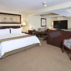 Отель Holiday Inn Suites Zona Rosa Мексика, Мехико - отзывы, цены и фото номеров - забронировать отель Holiday Inn Suites Zona Rosa онлайн комната для гостей фото 5