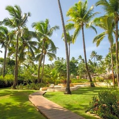 Отель Impressive Resort & Spa Punta Cana – All Inclusive фото 6