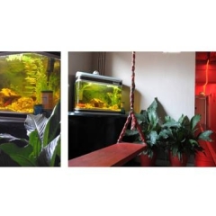 Chillout Cengo Hostel питание