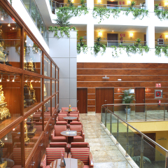 Senator Granada Spa Hotel гостиничный бар