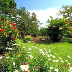 Отель Delma Mount View Канди