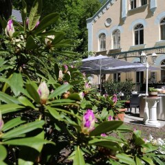 Отель Villa Basileia Чехия, Карловы Вары - отзывы, цены и фото номеров - забронировать отель Villa Basileia онлайн фото 2