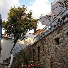 Hera Boutique Hotel - Boutique Class Турция, Дикили - отзывы, цены и фото номеров - забронировать отель Hera Boutique Hotel - Boutique Class онлайн фото 6