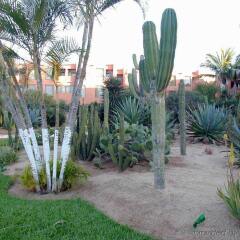 Отель Holiday Inn Resort Los Cabos Все включено с домашними животными