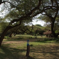 Lake Natron Tented Camp in Arusha, Tanzania from 293$, photos, reviews - zenhotels.com photo 7