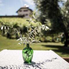 Отель Weidlhof B&B Кальдаро-сулла-Страда-дель-Вино помещение для мероприятий