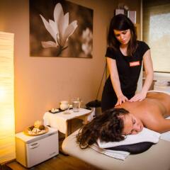 Wellness Hotel Step спа