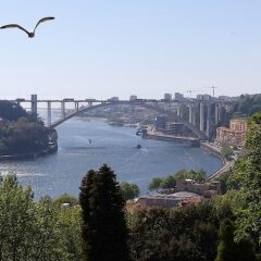 Отель Premium Porto Downtown фото 12