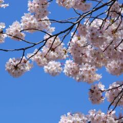 Отель New Otani Tokyo Токио фото 7