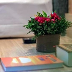 Отель Barahi Непал, Покхара - отзывы, цены и фото номеров - забронировать отель Barahi онлайн удобства в номере фото 2
