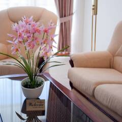 Отель Mercury Hotel - Все включено Болгария, Солнечный берег - отзывы, цены и фото номеров - забронировать отель Mercury Hotel - Все включено онлайн в номере