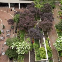 Отель Holiday Inn Washington-Capitol США, Вашингтон - отзывы, цены и фото номеров - забронировать отель Holiday Inn Washington-Capitol онлайн фото 5
