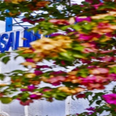 Отель Pasalimani Otel Чешме
