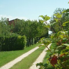 Отель B&B La Fonte Прамаджоре