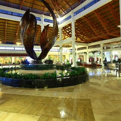 Отель Grand Bahia Principe Punta Cana - All Inclusive гостиничный бар