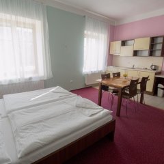 Отель Relax Hotel Stork Чехия, Леднице - отзывы, цены и фото номеров - забронировать отель Relax Hotel Stork онлайн комната для гостей фото 4