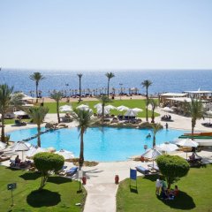 Amphoras Beach in Sharm El Sheikh, Egypt from 150$, photos, reviews - zenhotels.com balcony