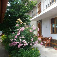 Отель Guest House Stoletnika Чепеларе фото 10