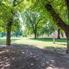 Апартаменты Bliss Apartments Chicago Познань спортивное сооружение