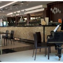 Duna Garden Hotel гостиничный бар