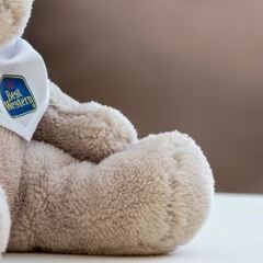 Отель Best Western Hotel Windorf Германия, Лейпциг - 2 отзыва об отеле, цены и фото номеров - забронировать отель Best Western Hotel Windorf онлайн с домашними животными