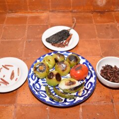 Отель Casa Coyoacan Мехико с домашними животными