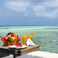 Отель Gangehi Island Resort в номере фото 2