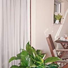 Napoleon Hotel балкон