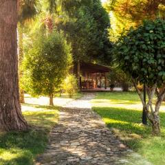 Отель Casa Das Paredes Фафе фото 14